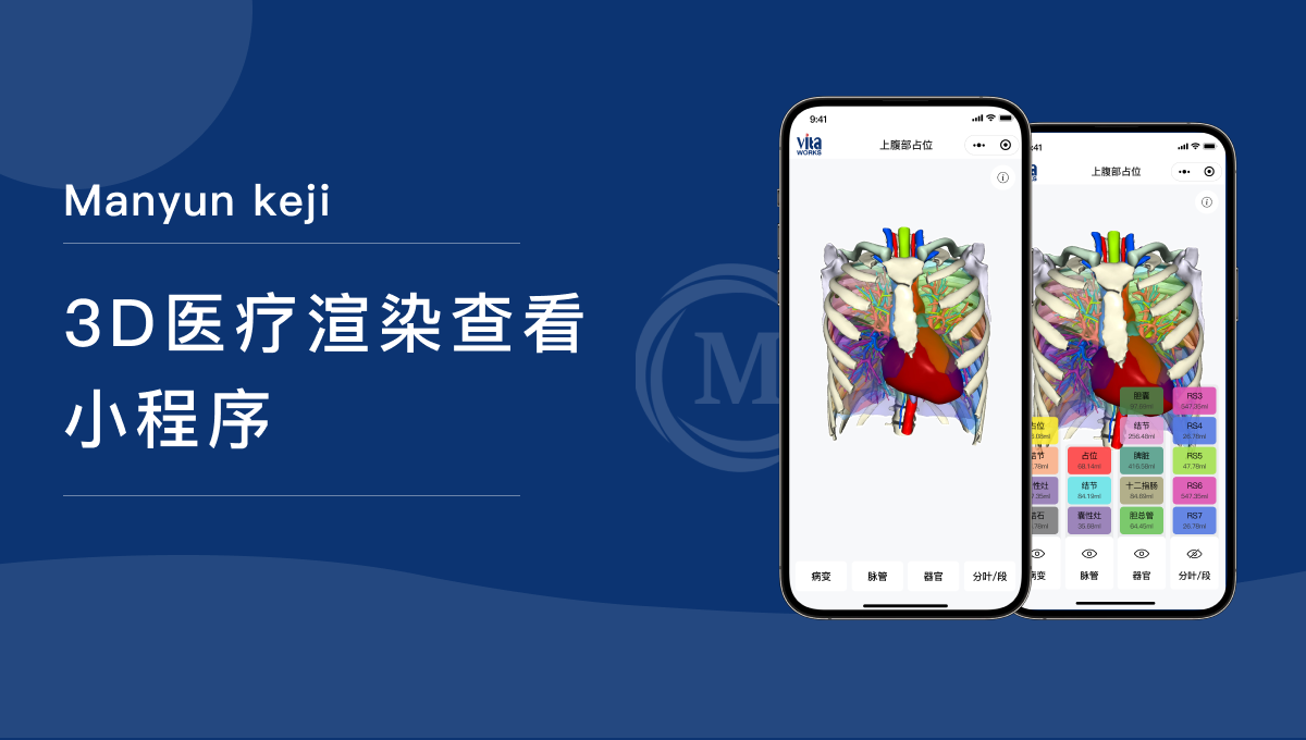 医疗3D可视化小程序开发：专业定制，让复杂医疗数据一目了然